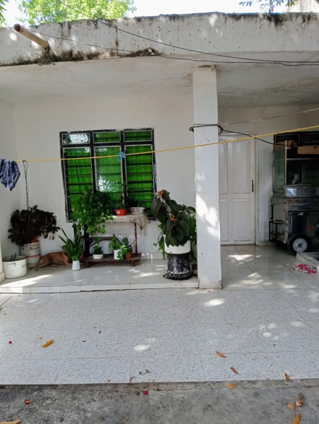 WhatsApp Image 2026-04-25 at 10.19.53 PM (1).jpeg